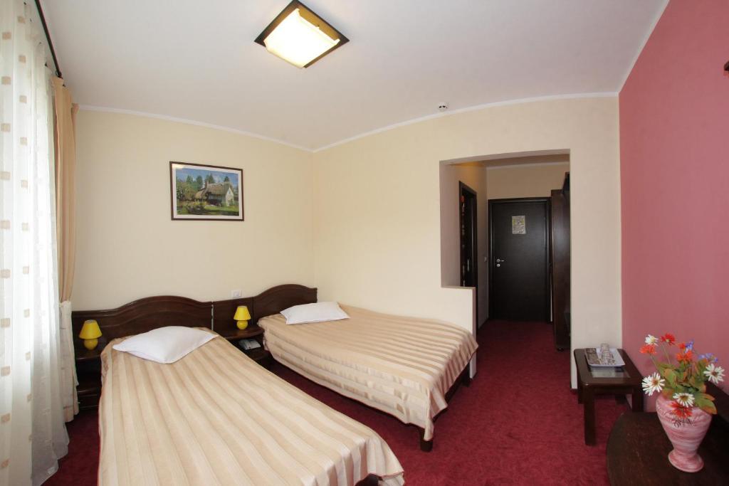 Hotel Victoria Borşa Exterior foto
